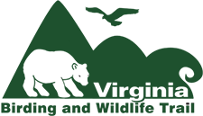 Virginia Birding and Wildlife Trail