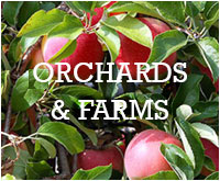 Orchards and Farms in Nelson County
