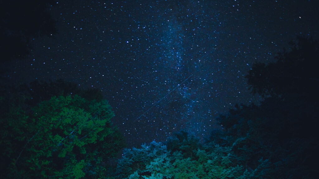 Nelson County Starry Night