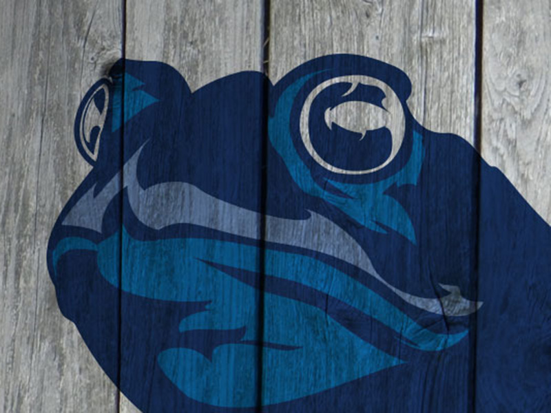 Blue Toad Hard Cider