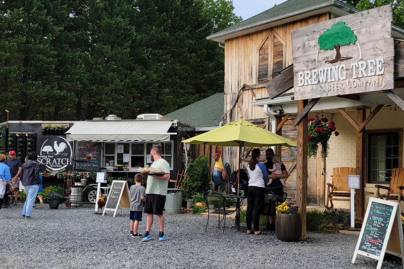 Brewing Tree Beer Company