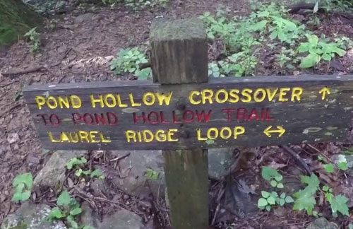 Laurel Ridge Loop