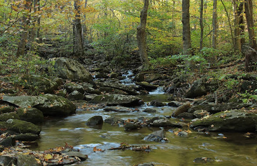 Paul’s Creek Trail