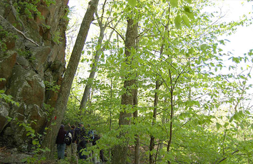 Pond Hollow Trail