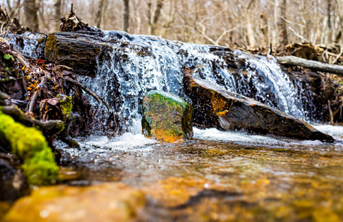 Shamokin Springs Nature Preserve