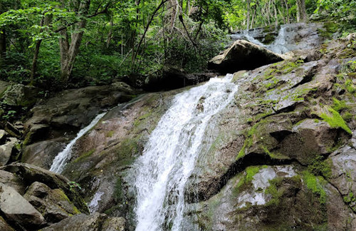 Upper Shamokin Falls Trail