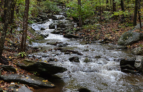 Upper Shamokin Gorge Trail