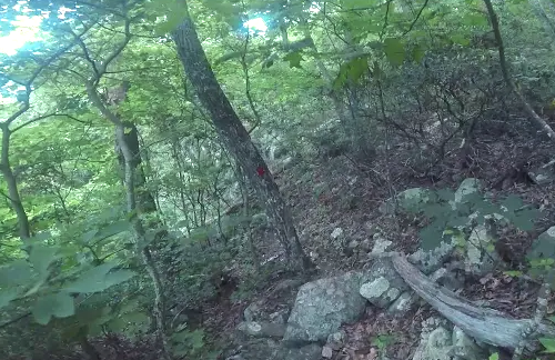 Black Rock Trail
