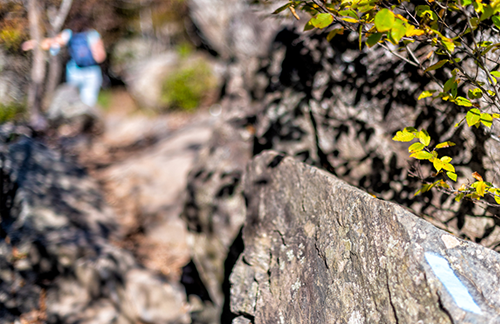 Brimstone Trail