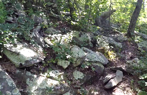Devils Knob Trail
