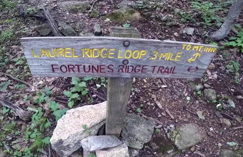 Fortune’s Ridge Trail