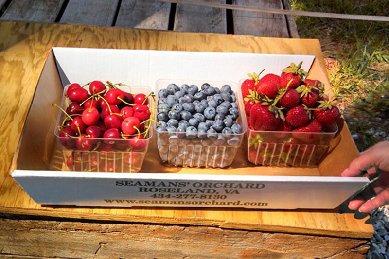 Seamans’ Orchard