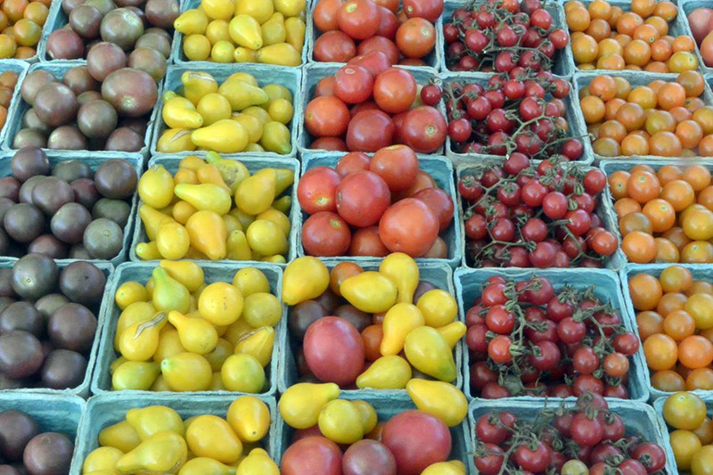 Turnip the Beets Farm