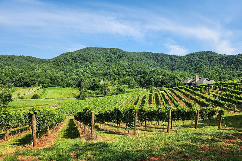 The Carriage House at Stagebridge Farm